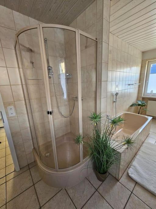 Ferienhaus Distelfink Entspannen In Der Mitte Von Deutschland Gudensberg Esterno foto