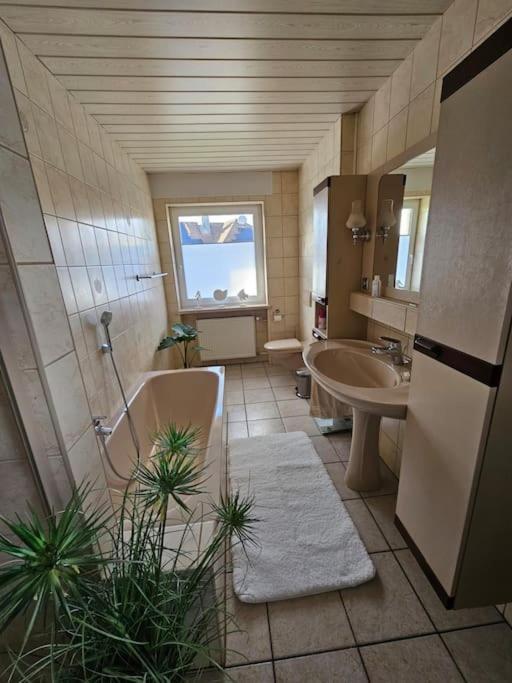 Ferienhaus Distelfink Entspannen In Der Mitte Von Deutschland Gudensberg Esterno foto